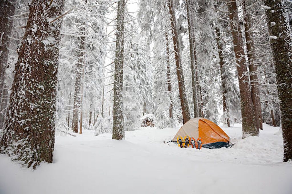 winter tent | 2024