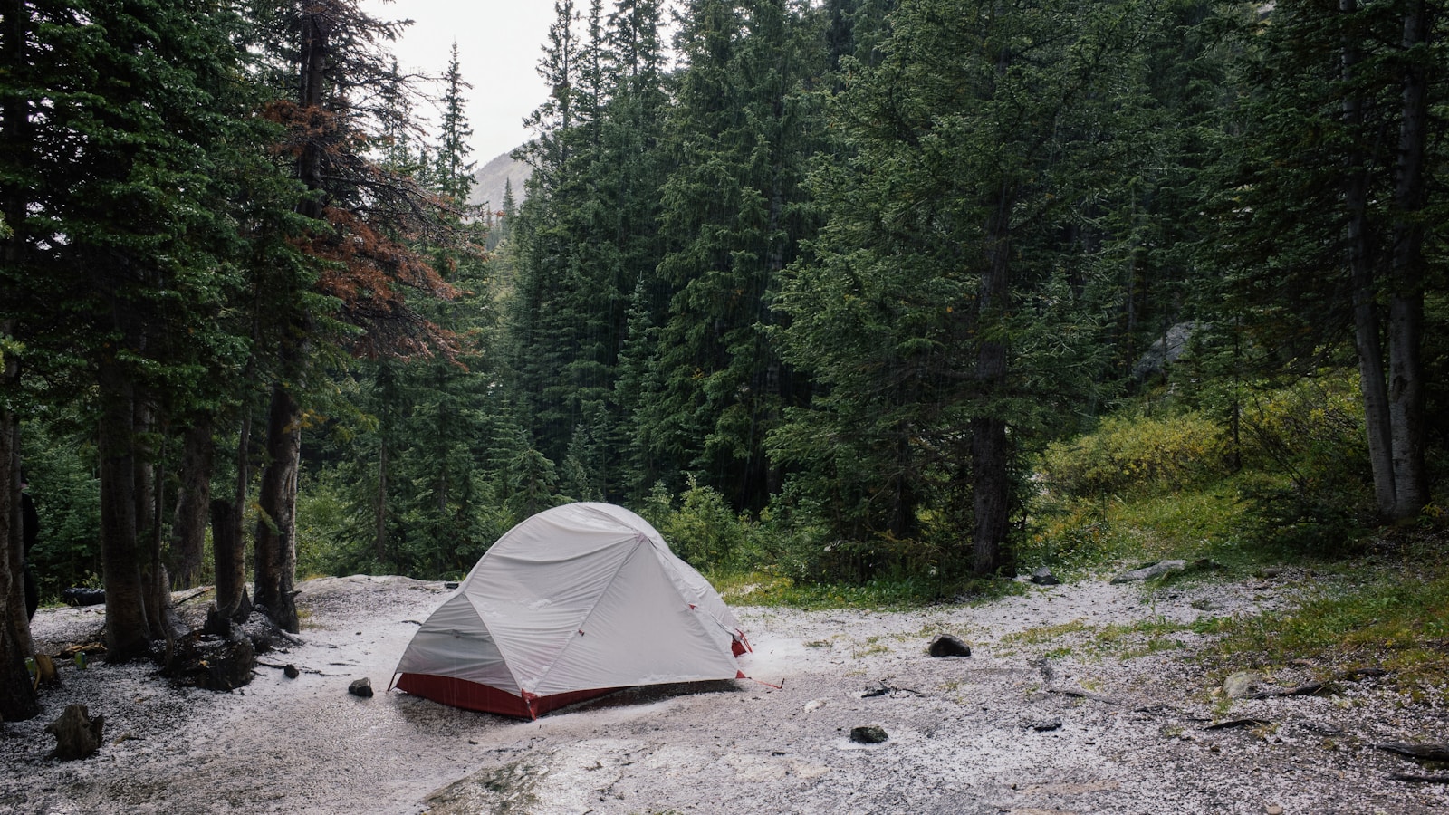 Campamento con tiendas de acampar en un entorno natural